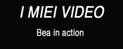 bio
